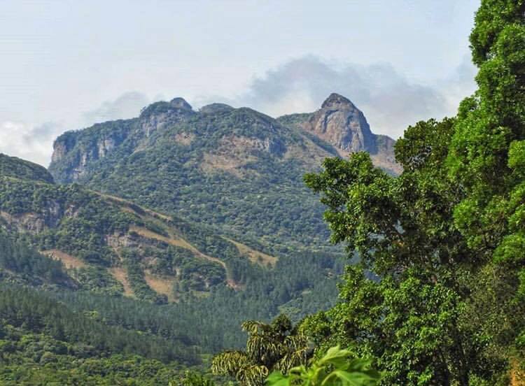 මානිගල කඳු - Manigala Hills