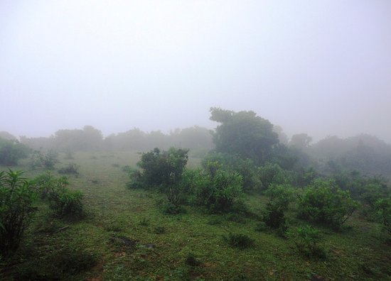 මානිගල කඳු - Manigala Hills